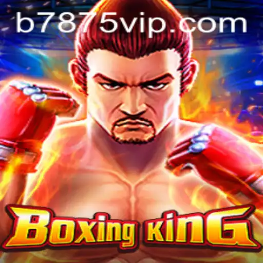 Exploring the Exciting World of BoxingKing